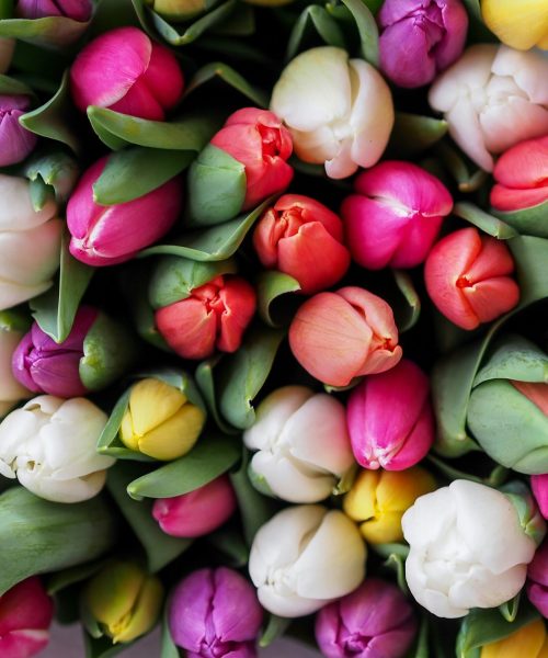 gabor-juhasz-B1Zyw7sdm5w-unsplash